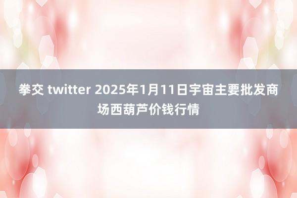 拳交 twitter 2025年1月11日宇宙主要批发商场西葫芦价钱行情