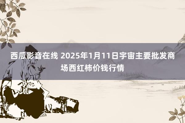 西瓜影音在线 2025年1月11日宇宙主要批发商场西红柿价钱行情
