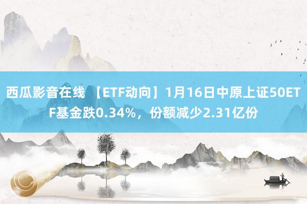 西瓜影音在线 【ETF动向】1月16日中原上证50ETF基金跌0.34%,份额减少2.31亿份