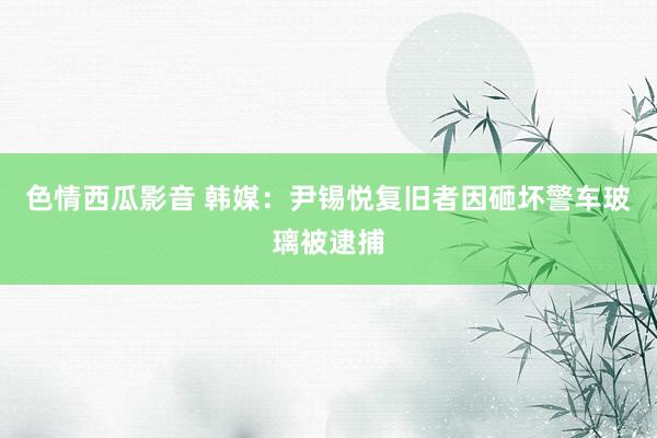 色情西瓜影音 韩媒:尹锡悦复旧者因砸坏警车玻璃被逮捕